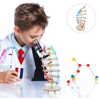 Doppelhelix-modell Wissenschaftliches Molekülmodell Kinderspielzeug Lehrmittel