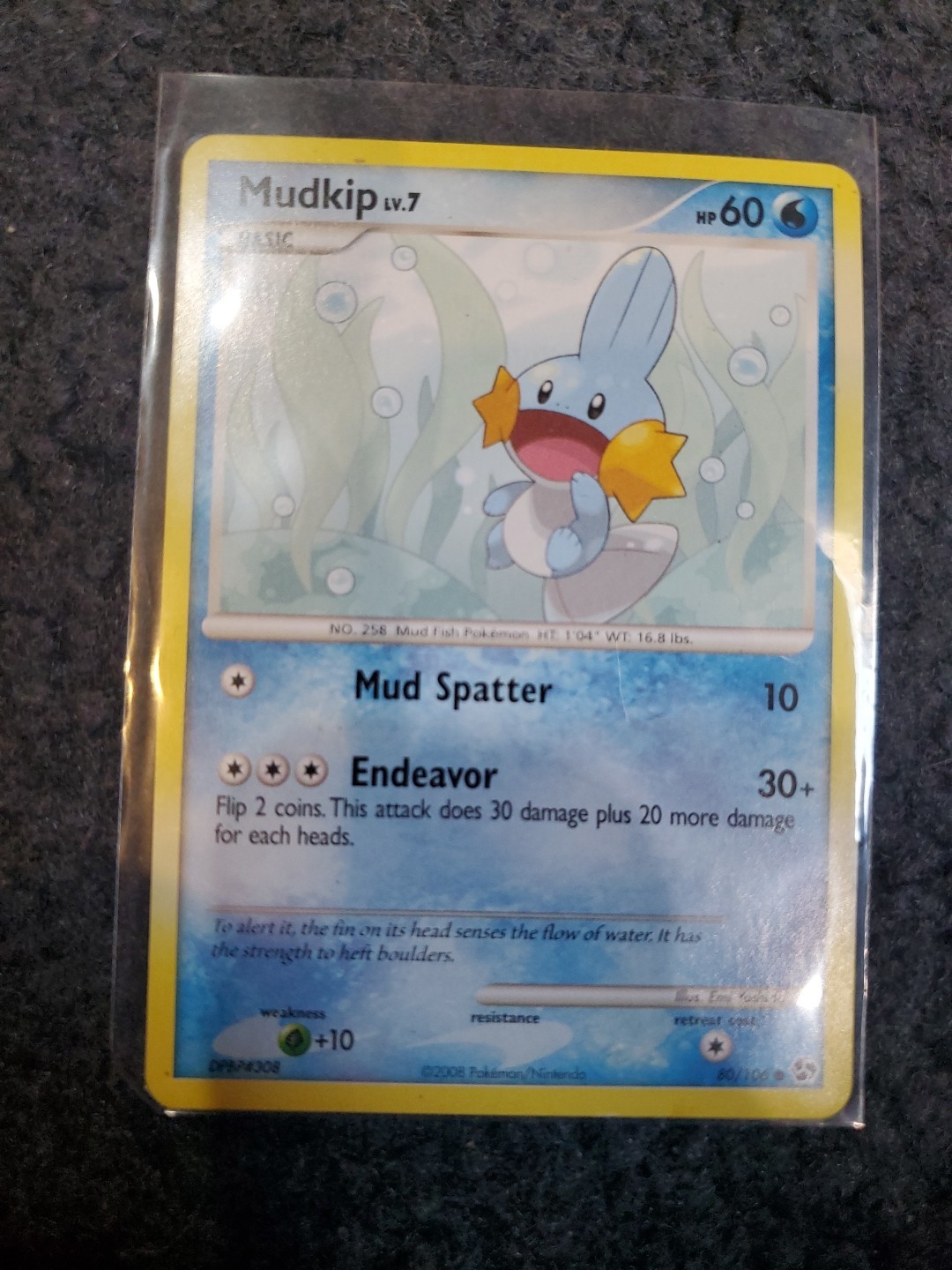 Mudkip LV.7 80/106 - 2008 Great Encounters - Pokemon TCG Near Mint