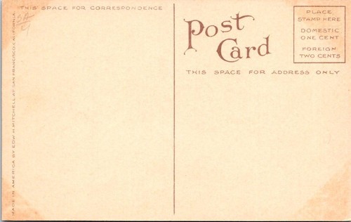 Pasadena, CA California  CAWSTON'S OSTRICH FARM   1909 Animal Postcard - Picture 2 of 2