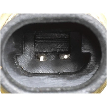 Sensor de temperatura del refrigerante del motor TS10076 para Delphi Foto 3 de 4