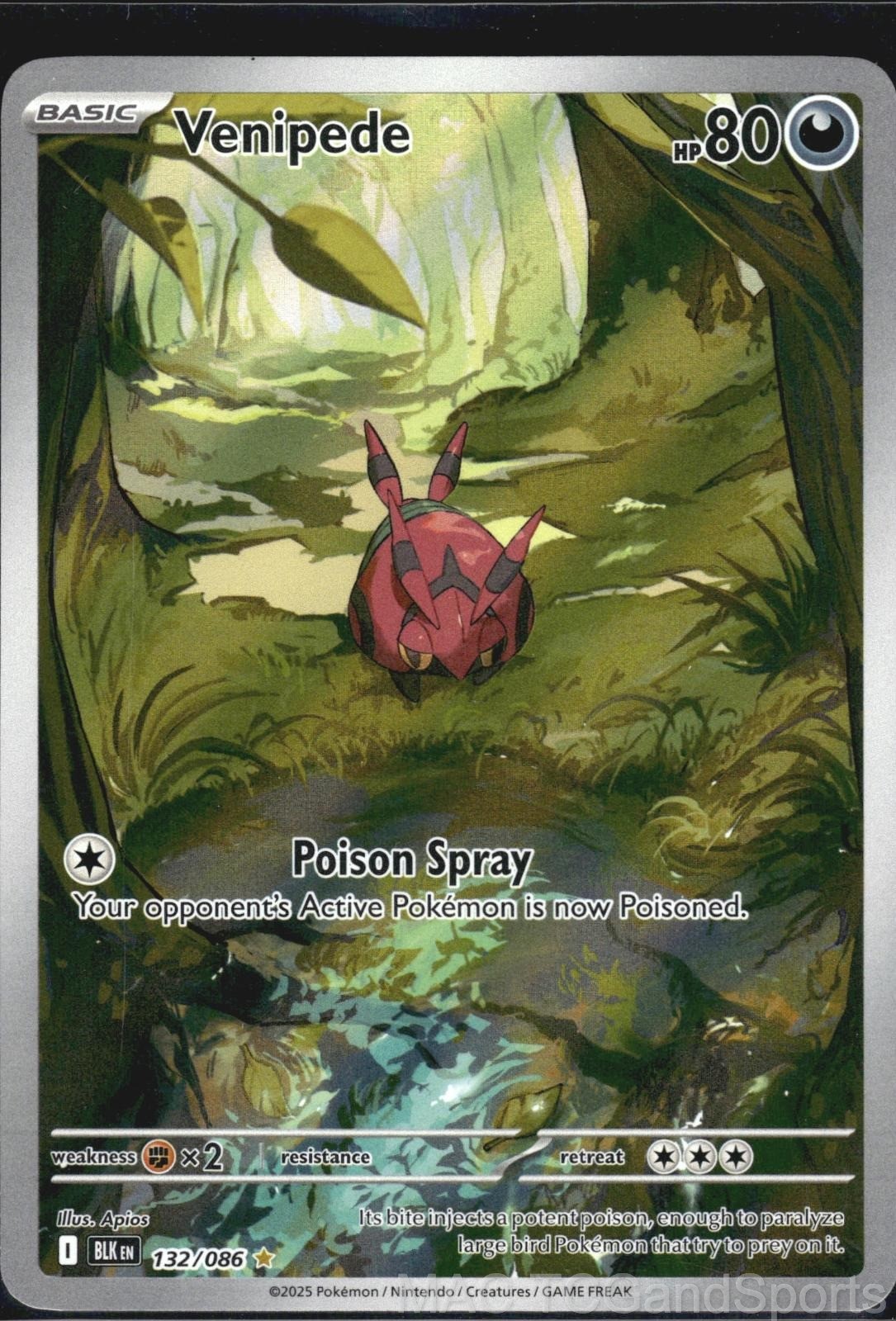 Venipede 132/086 Holo Black Bolt Pokemon TCG NM