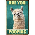 Picture 3 of 7