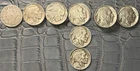 Lot Of 16 1929-1937 P D S Buffalo Nickels + 1 V-Nickel