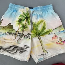 Vilbrequin Swim Trunks Shorts Size M