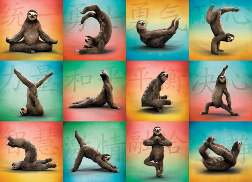 Sloth Yoga 1000-Piece Puzzle - Picture 2 of 2