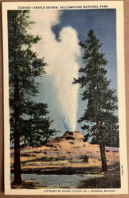Yellowstone Castle Geyser Wyoming Haynes Postcard c1930
