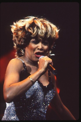 tina turner glitter dress The Best WHATS LOVE Proud Mary PRIVATE DANCER Its Only Love SLIDE 32 sequin dress hoco