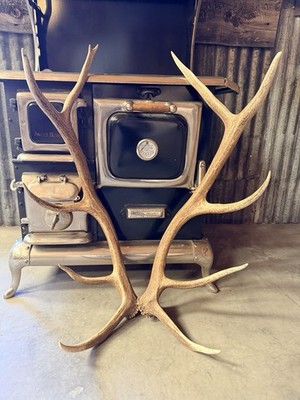 Small 5x5 Set Of Elk Sheds ~ Elk Antlers ~ Wedding Decor