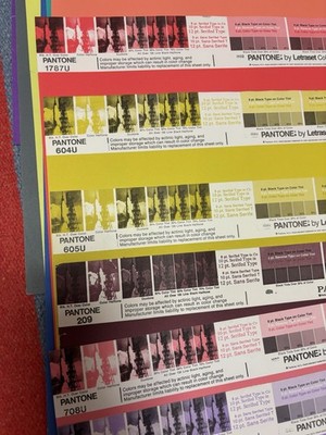 PICK ONE: Vintage NOS Pantone By Letraset Uncoated Paper 20x26  Some SOLD