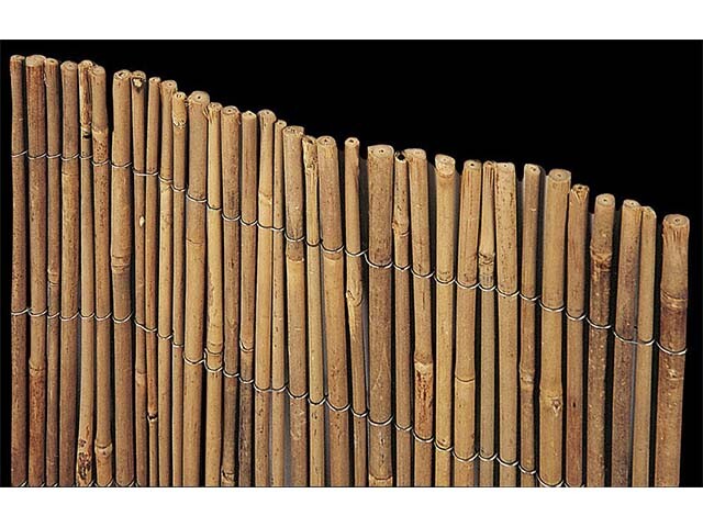 856136 ARELLA TIME 2.5x3 609/6