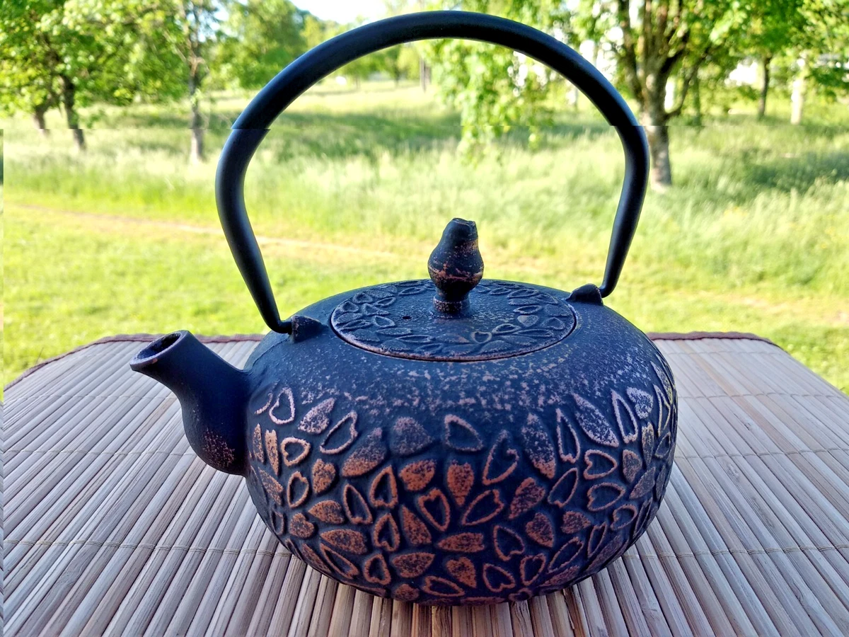 Ancien Chaudron émaillé Bleu + Petite Théière émaillée Bleue - Lot