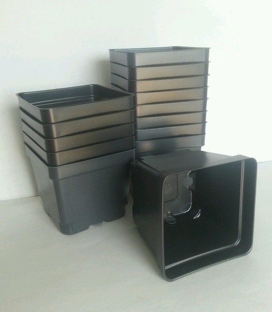 4.25" SQUARE PLASTIC NURSERY POTS SET OF 50 {4.2" x 3.6"} flower eBay