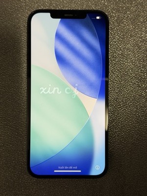 Apple iPhone 12 Pro Max 256GB Pacific Blue
