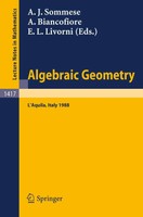 Andrew J. Sommese (U. A.) | Algebraic Geometry | Taschenbuch | FranzöSisch