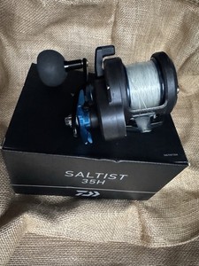 Daiwa Saltist Ld30 2-Speed | eBay
