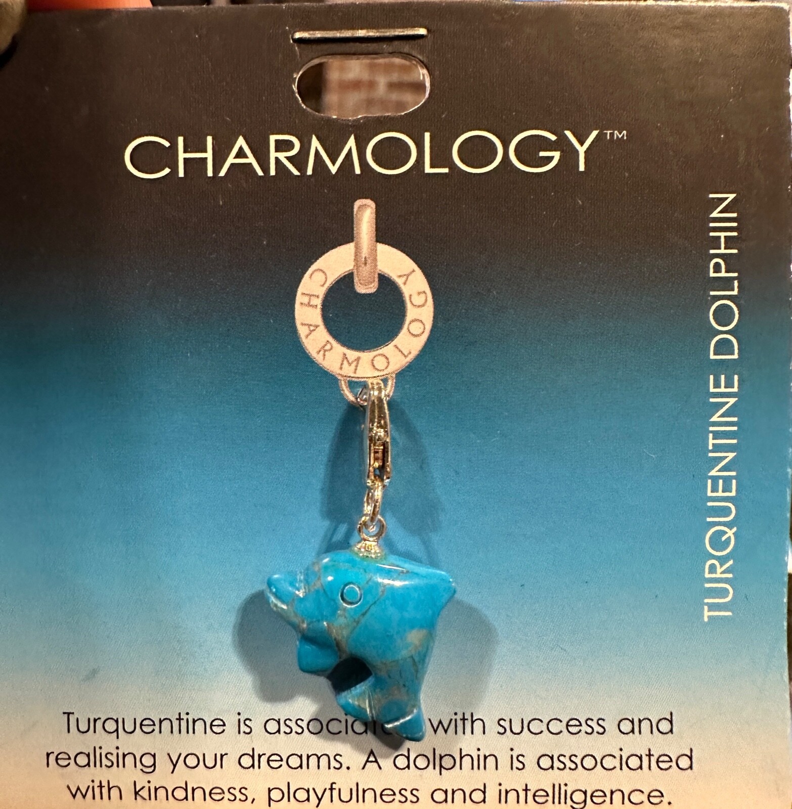 DOLPHIN TURQUENTINE STONE CHARMOLOGY JEWELLERY PENDANTS OR CHARMS