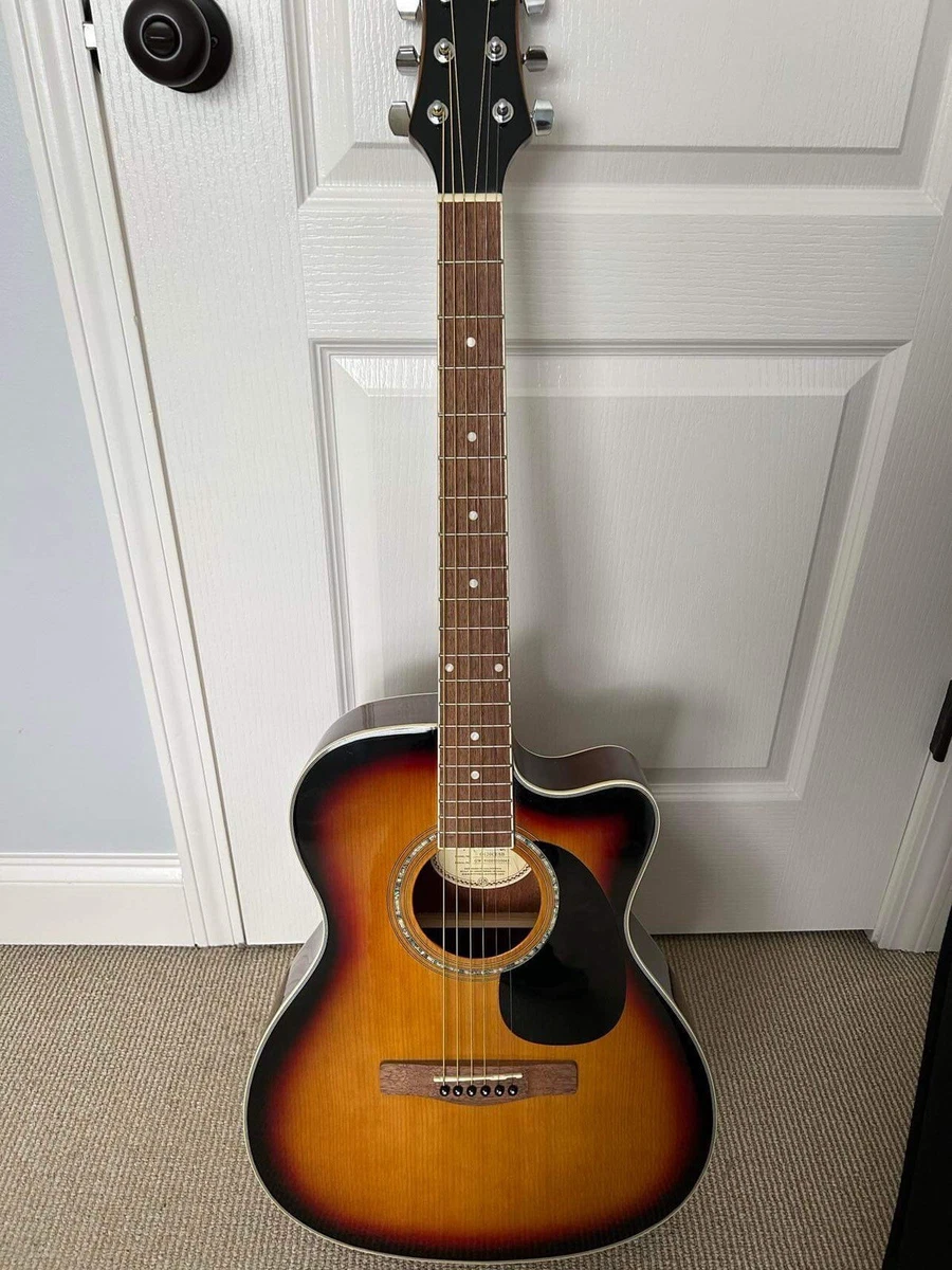 Mitchell acoustic guitar case deals