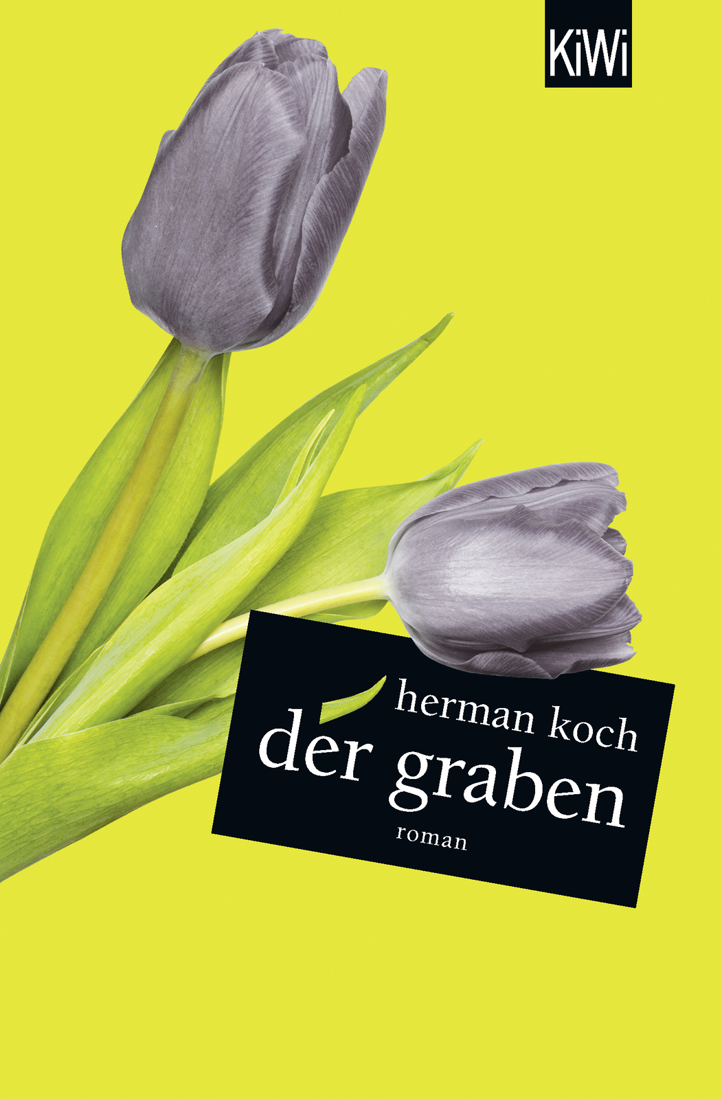 Thumbnail - Herman Koch; Christiane Kuby; Herbert Post / Der Graben