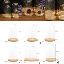 Decorative Clear Glass Cloche Bell Jar Display Case with LED
