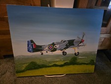 New Zealand Mustang Painting