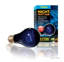 Exo Terra Mondlichtlampe / Nachtlich Beleuchtung 75w