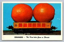 Postcard Novelty Florida Exaggerated Oranges Train Car Chrome L561