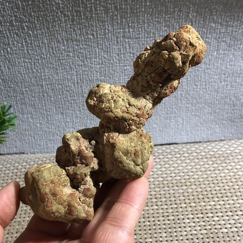 Gülle Dinosaurier Koprolit Gülle grobe Mineralproben 263g d0473 - Bild 4 von 15