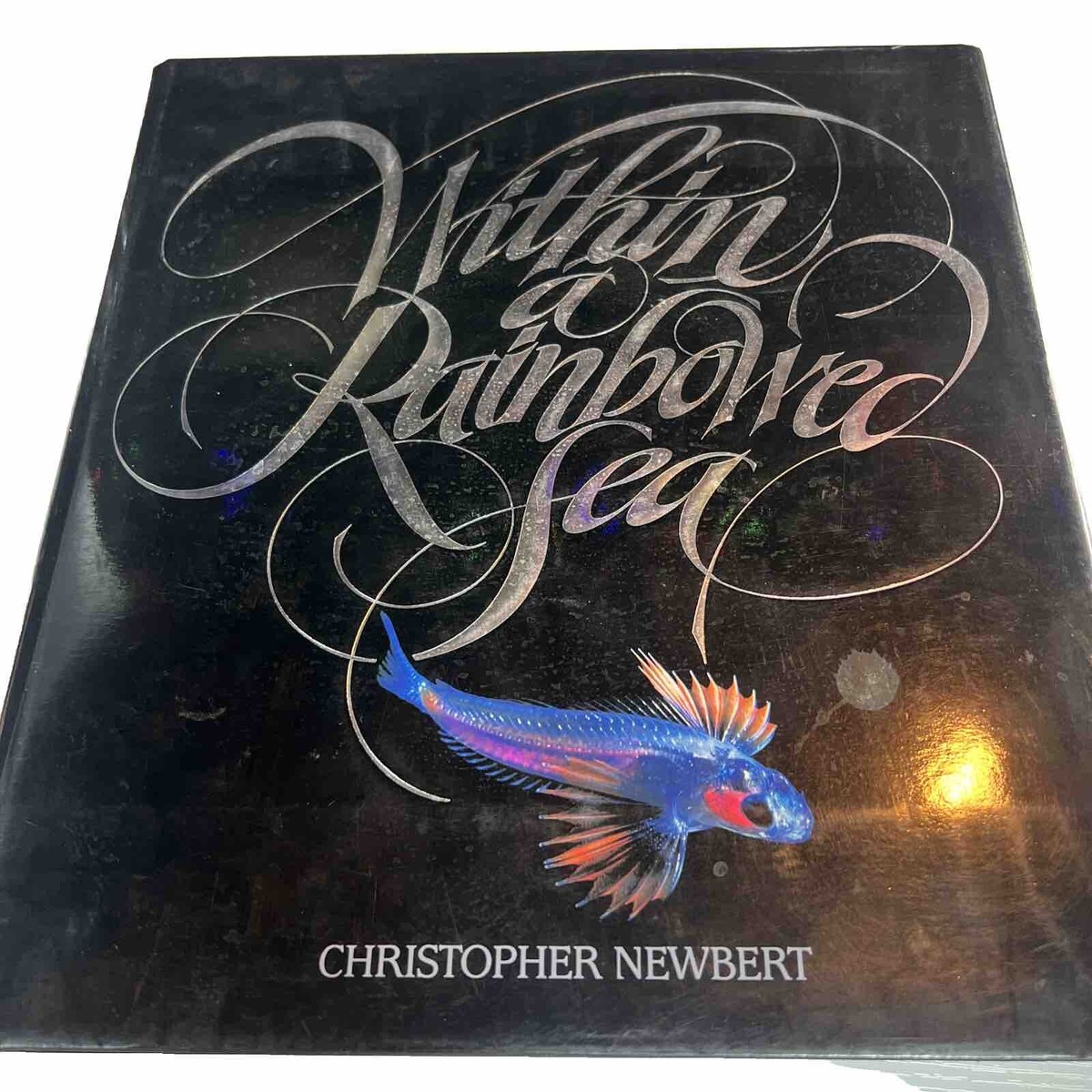 アート・デザイン・音楽 RainbowedSea Author's Edition WITHIN A RAINBOWED SEA (The Earthsong Collection) | eBay