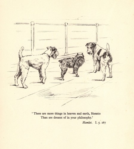 Vintage Fox Terrier & Brussels Griffon Print Shakespeare Hamlet Quote 6979t