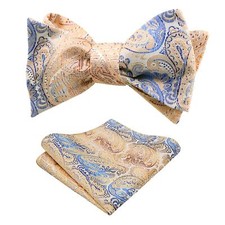 Men's Retro Paisley Self-Tie Bow Tie and Handkerchief Set Champagne 4"L 2.5"W