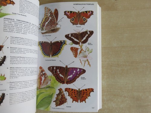 Insects of Britain and Western Europe, Michael Chinery, 3rd Edition. - Picture 5 of 12