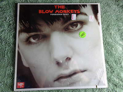 THE BLOW MONKEYS  ''FORBIDDEN FRUIT'' LP FACTORY SEALED 