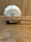 Foto 5 di 6