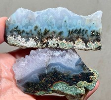 New Tide Pool Plume Agate Faced Rough!