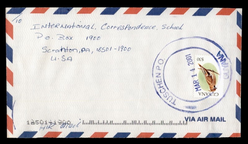 DR WHO 2001 GUYANA TUSCHEN AIRMAIL TO USA BIRD $30 R59765