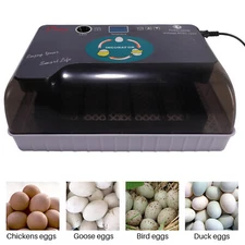 4/12/36Egg Incubator Chicken Hatcher Automatic Egg Turning Temperature Control