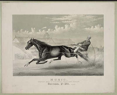 Photo:Music: Chestnut Mare, by Middletown, dam by Roe's Fiddler