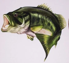 Large Mouth Bass Fish sticker graphic decal window Wall golf cart Fishing Decals