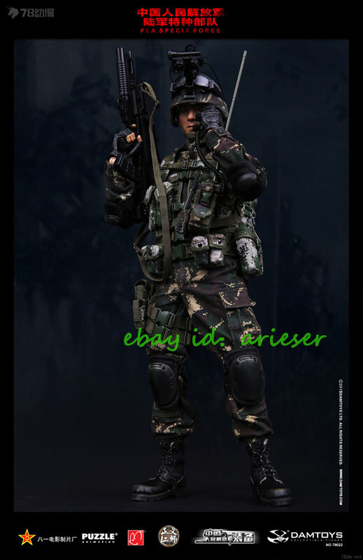 Damtoys 1/6 78022 Chinese People'S Liberation Army Specia