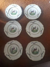 Set Of 6 Antique Copeland Spode Vienna Bird Early 20th C. 9 In  Plates