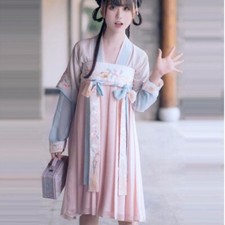 Girl Ancient Chinese Embroidered Hanfu Dress Tops Chest Skirt Suit Lolita
