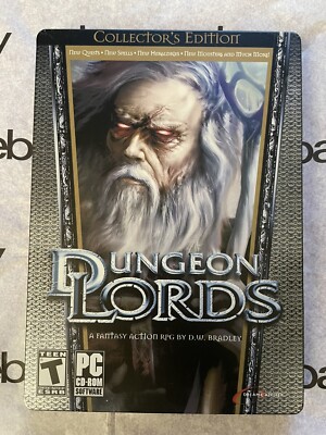 Dungeon Lords Steam Edition Clé Steam / Acheter et télécharger sur PC