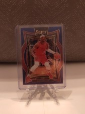 RED Blue color match 18/75 2024-25 Panini Select Bam Adebayo #15  Prizm Heat