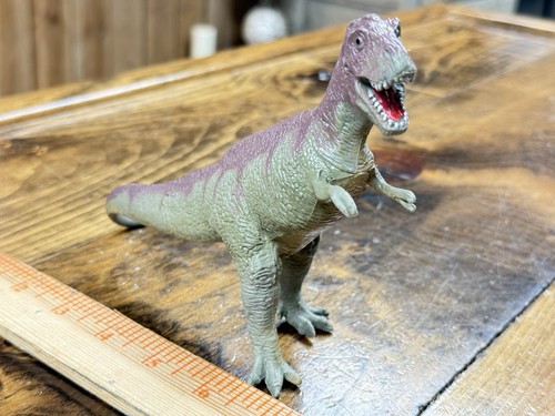 Colección Carnegie Dinosaurios—Tyrannosaur Rex Con Versión Imitación - Imagen 12 de 14