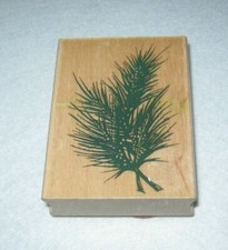 All Night Media -  Rubber Stamp - Posh Impressions - Pine Needles - Large Size