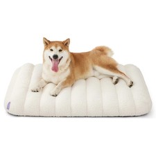 LE SURE Cute Orthopedic Dog Bed Medium Size Dog Waterproof Chic Flat Pet Beds