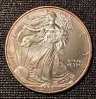 2003 1oz  .999 American Silver Eagle with a Natural Toning