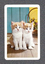 Vintage Swap Playing Card 1970's 2 CATS Swap Card
