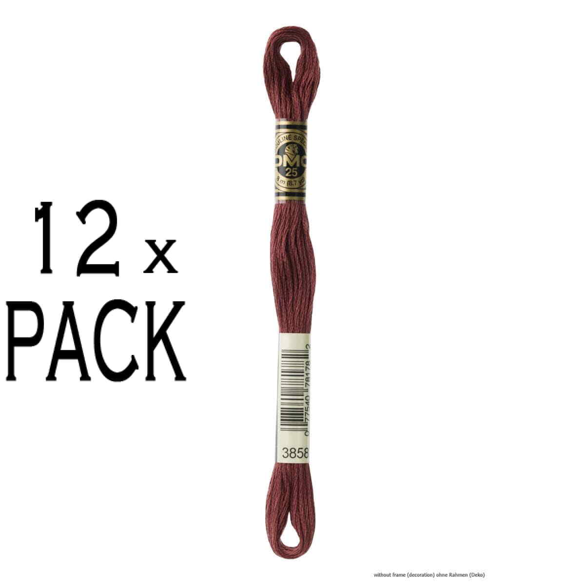 12x DMC Embroidery thread Mouline Special 117MC -3858, 6 stranded, 8m