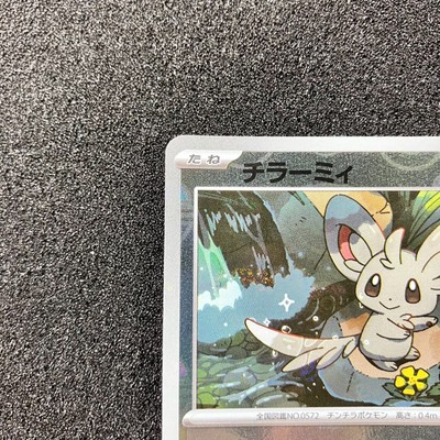 Minccino AR 157/086 - Pokemon Giapponese SV11B Bullo Nero (Foil, Altered Art)